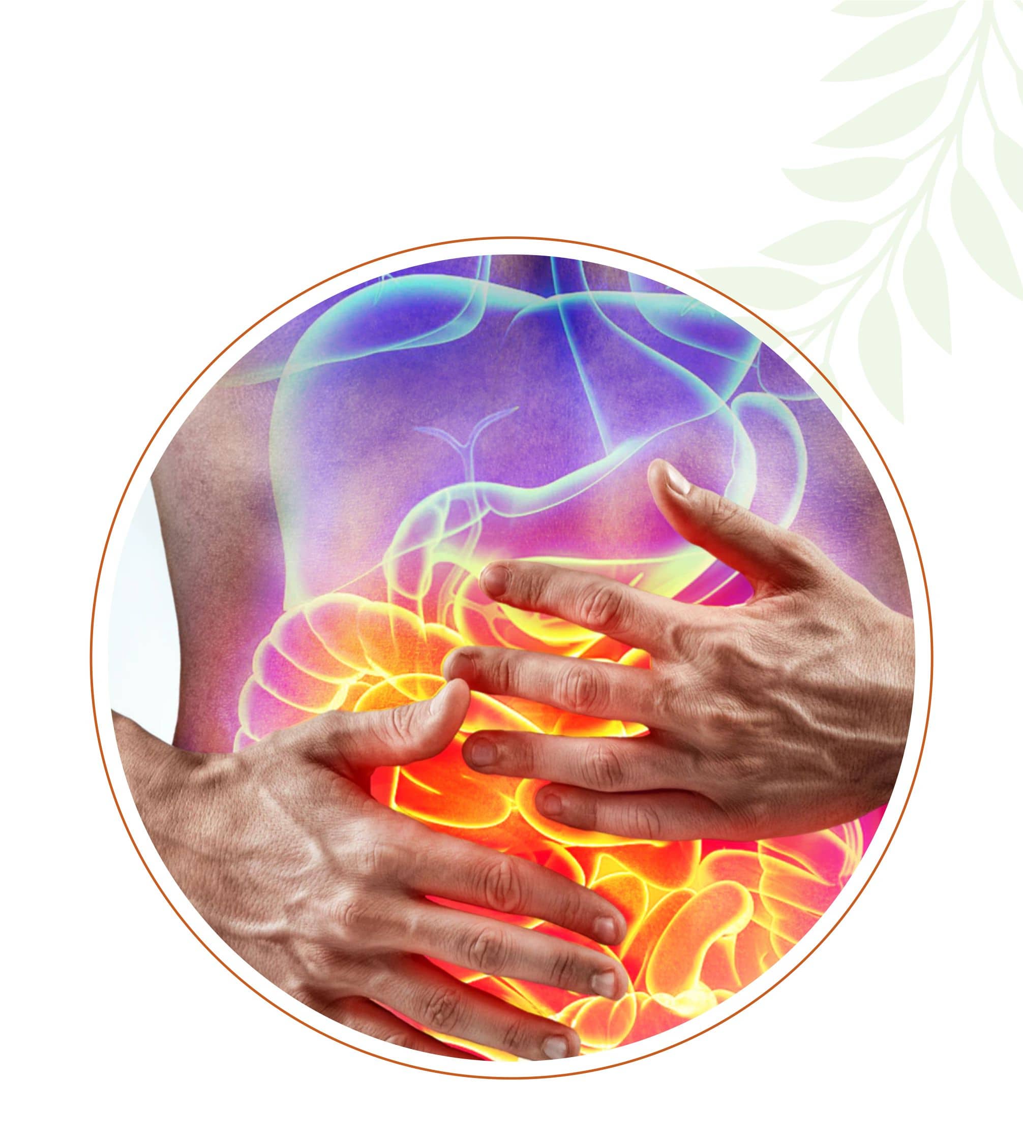 Liver Health