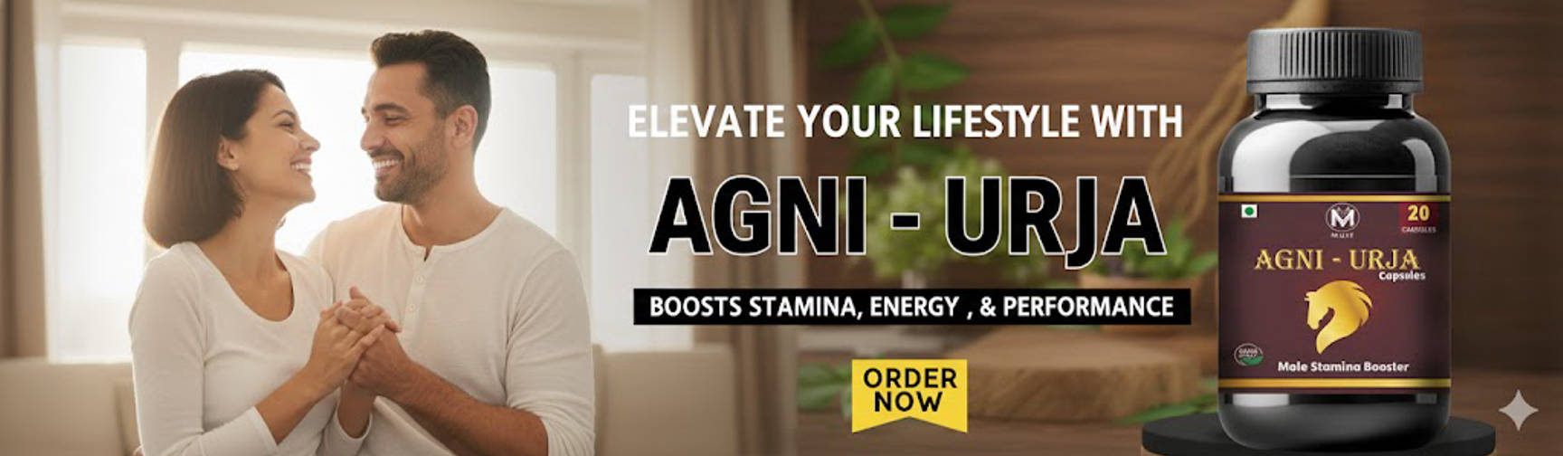 Agni-Urja Website_imresizer